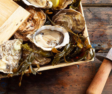 Couteaux à  huitre